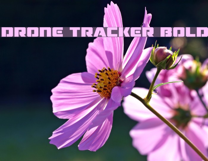 Drone Tracker Bold Font examples