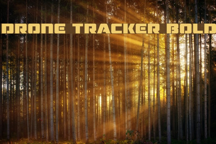 Drone Tracker Bold Font examples