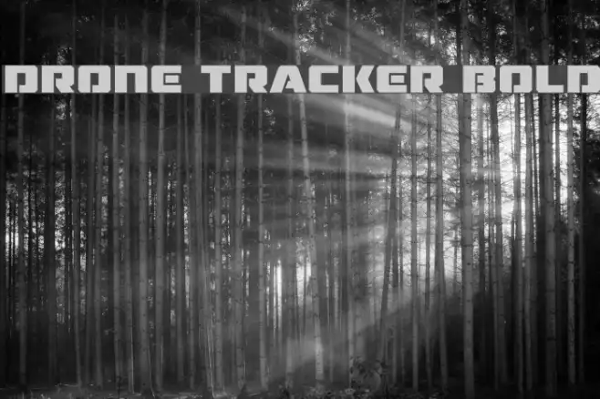 Drone Tracker Bold Example 2