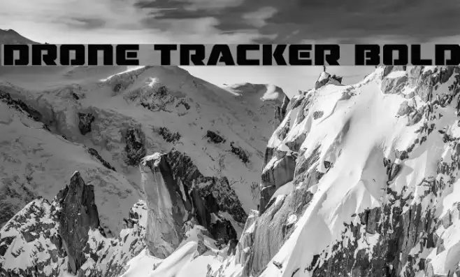 Drone Tracker Bold Example 3