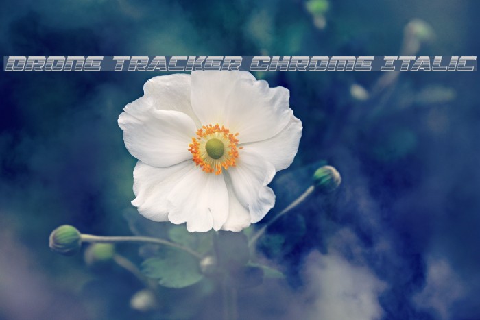 Drone Tracker Chrome Italic Example 3