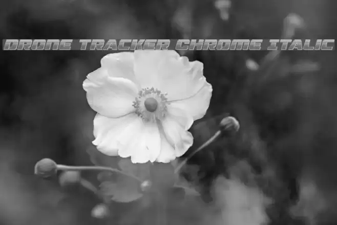 Drone Tracker Chrome Italic Font examples