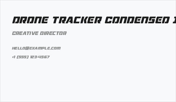 Drone Tracker Condensed Italic Business Card