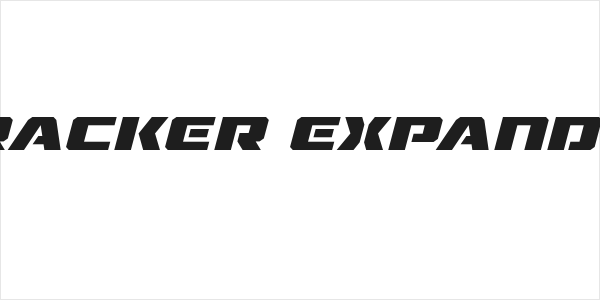 Drone Tracker Expanded Italic Logo