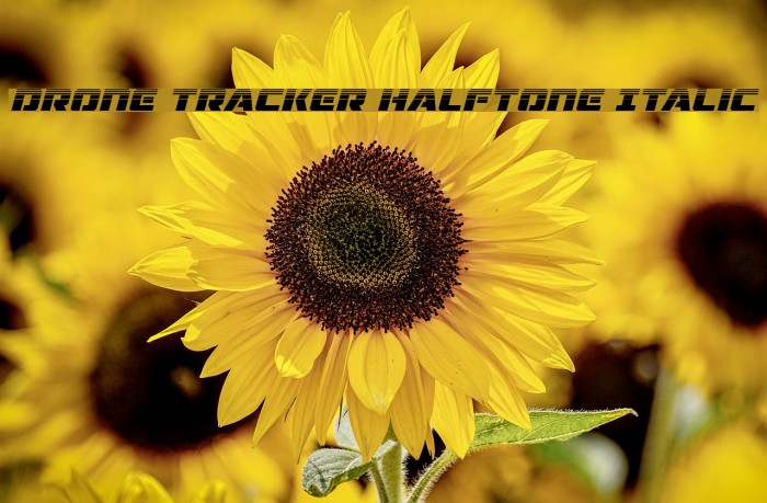 Drone Tracker Halftone Italic Example 1