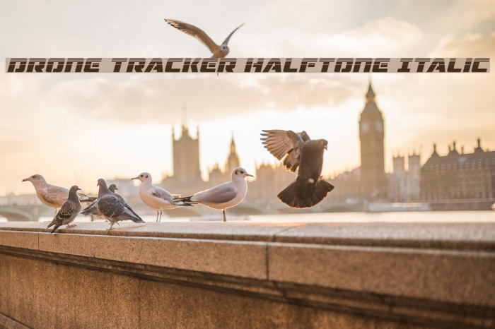 Drone Tracker Halftone Italic Example 2