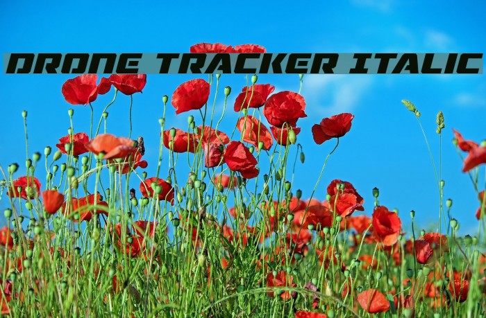 Drone Tracker Italic Font examples