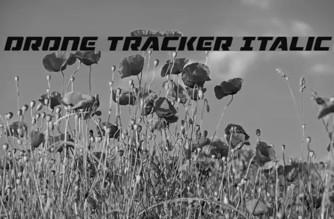 Drone Tracker Italic Example 2