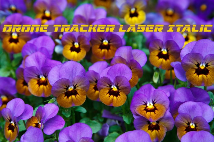 Drone Tracker Laser Italic Font examples