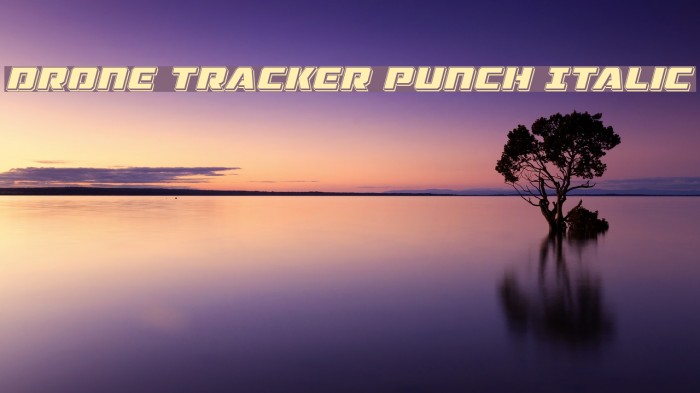 Drone Tracker Punch Italic Font examples