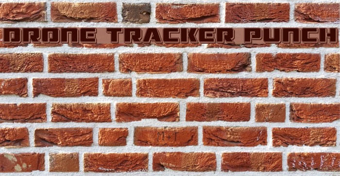 Drone Tracker Punch Example 1