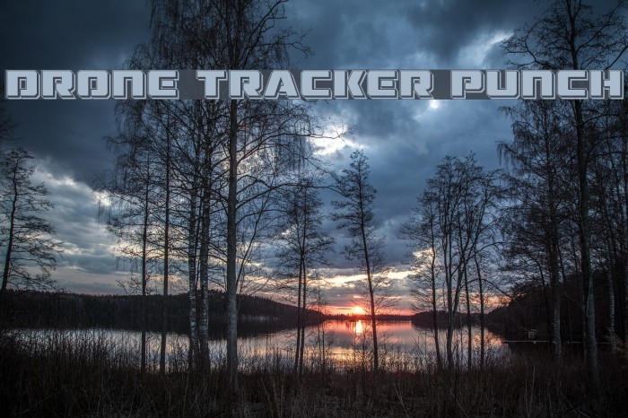 Drone Tracker Punch Example 2