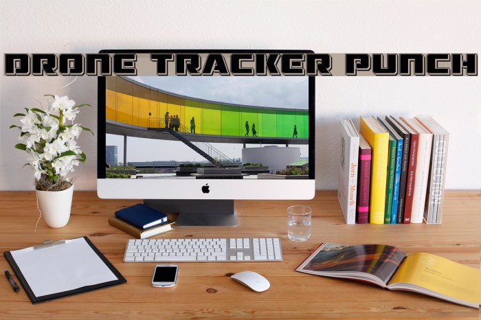 Drone Tracker Punch Example 3