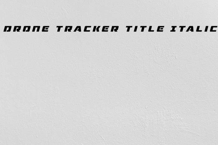 Drone Tracker Title Italic Font examples