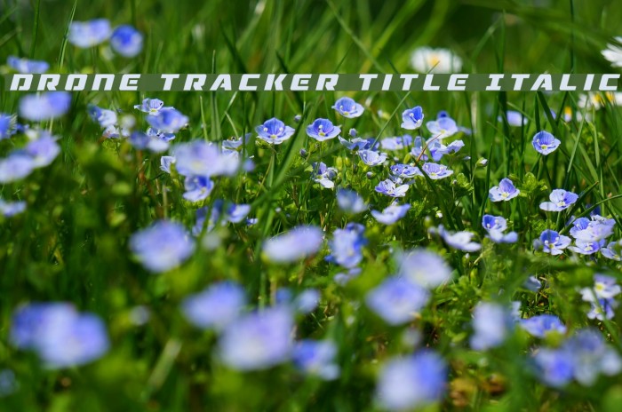 Drone Tracker Title Italic Font examples