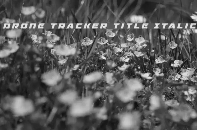 Drone Tracker Title Italic Font examples