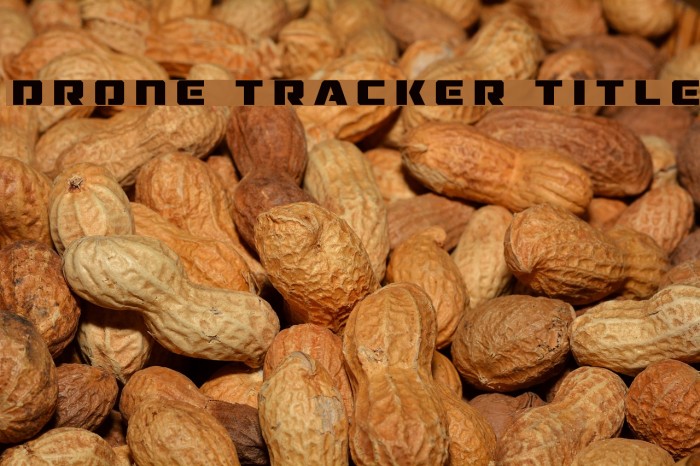 Drone Tracker Title Font examples