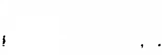 Droopy Poopy フォント その他の文字