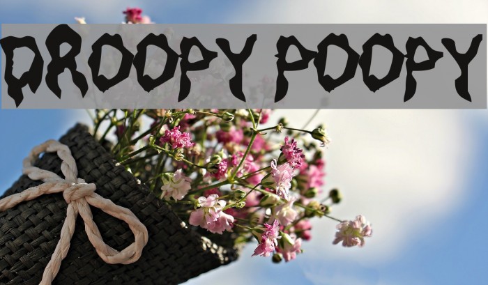 Droopy Poopy Font examples
