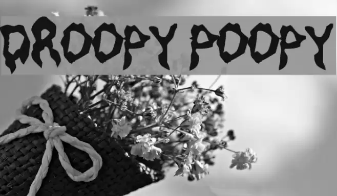 Droopy Poopy フォント examples