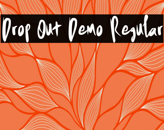 Drop Out Demo Regular Example 1