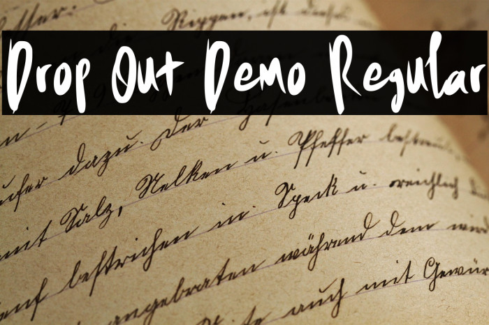 Drop Out Demo Regular Example 2