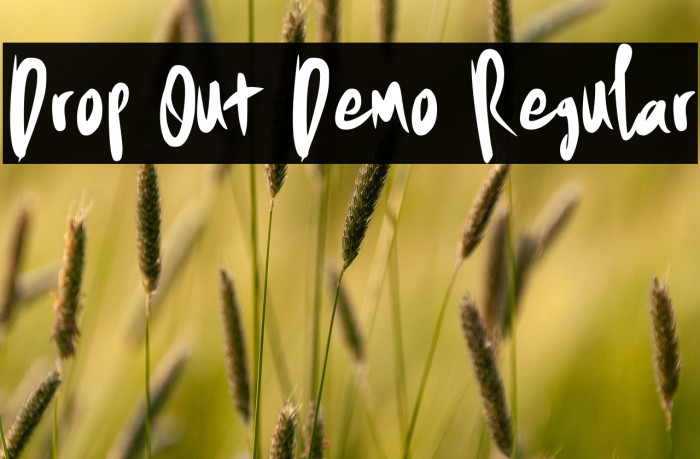 Drop Out Demo Regular Example 3