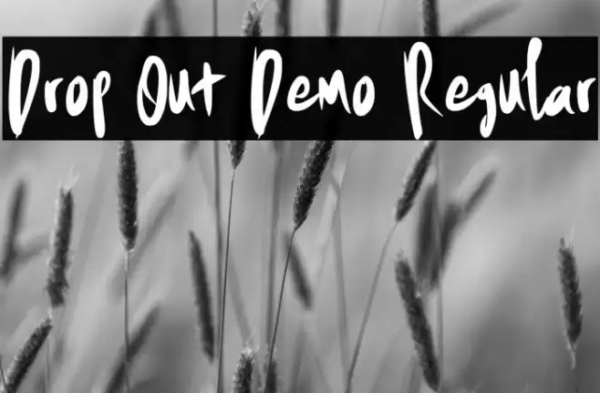 Drop Out Demo Regular خط examples