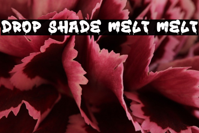 Drop Shade Melt Melt Example 3