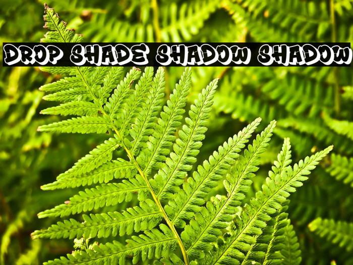 Drop Shade Shadow Shadow Example 1