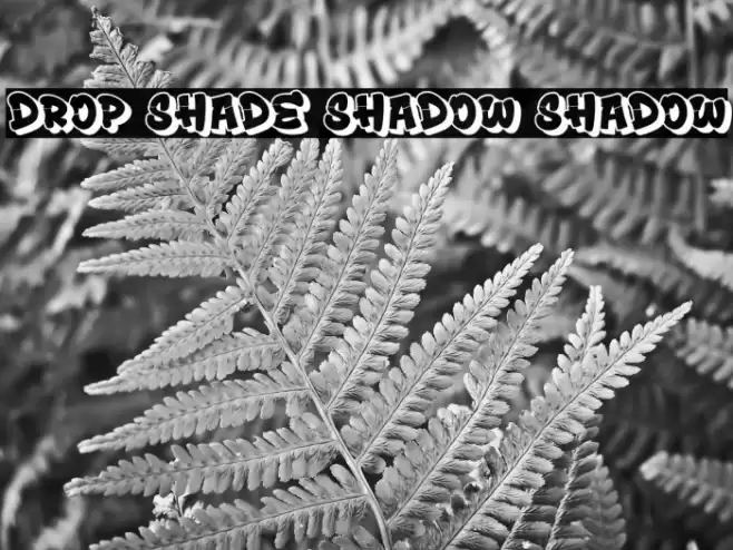 Drop Shade Shadow Shadow Fonte examples