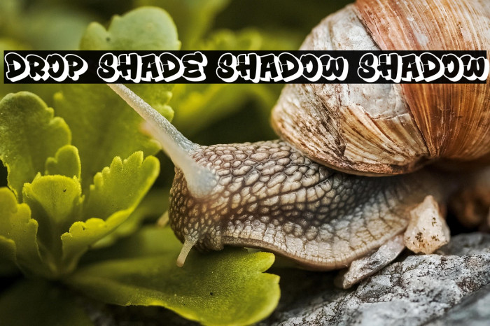 Drop Shade Shadow Shadow Example 3