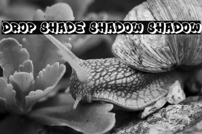Drop Shade Shadow Shadow Fonte examples