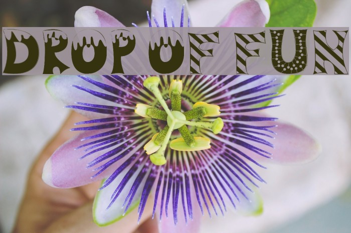 Drop of Fun Example 2