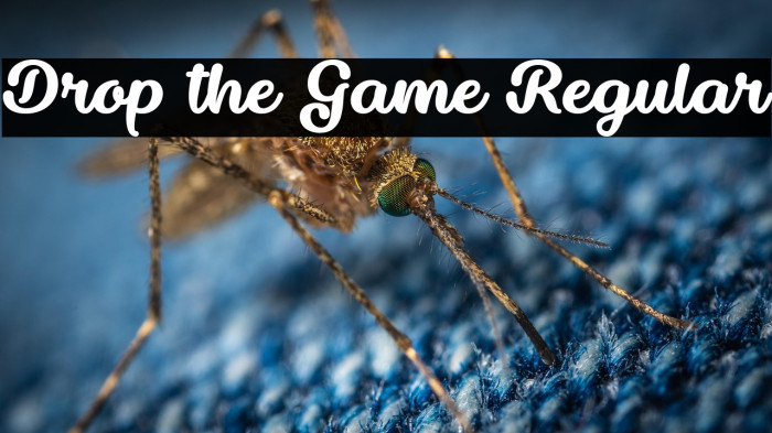 Drop the Game Regular Example 1