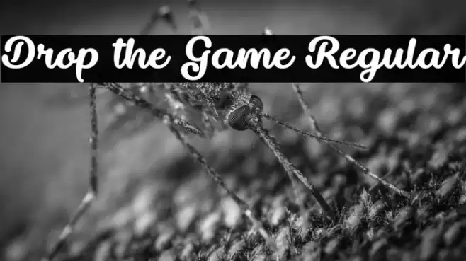 Drop the Game Regular Font examples