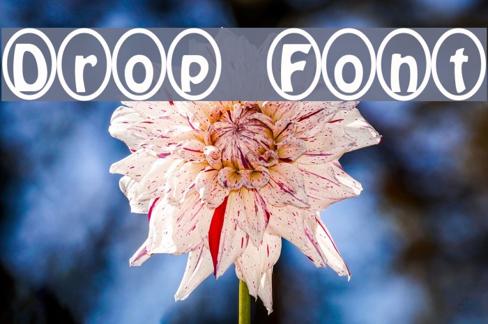 Drop Font examples