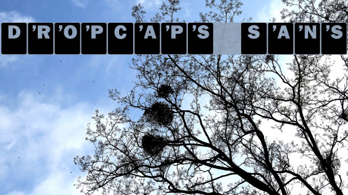 DropCaps Sans Font examples