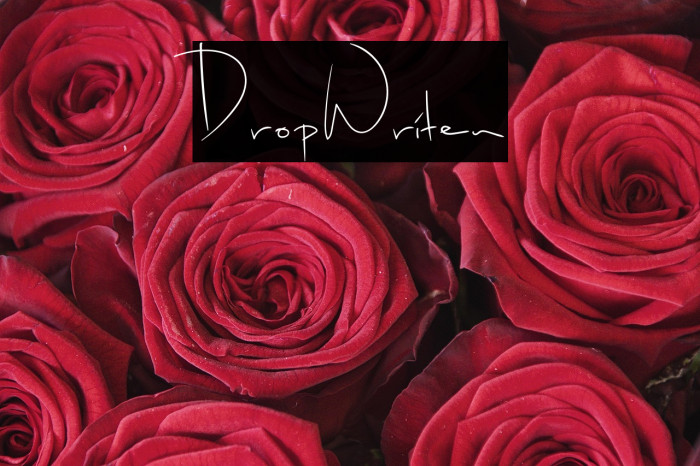 DropWriten Example 2