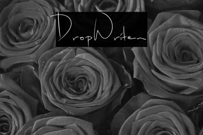 DropWriten Caratteri examples