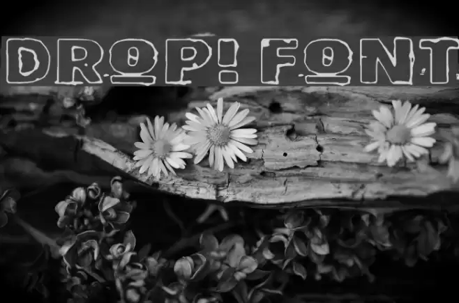 Drop! Font examples