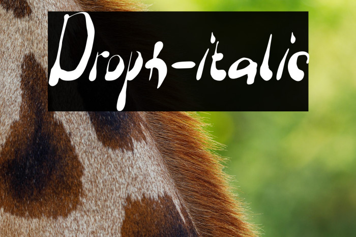 Droph-italic Example 1