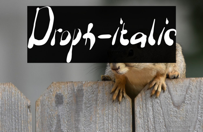 Droph-italic Example 3