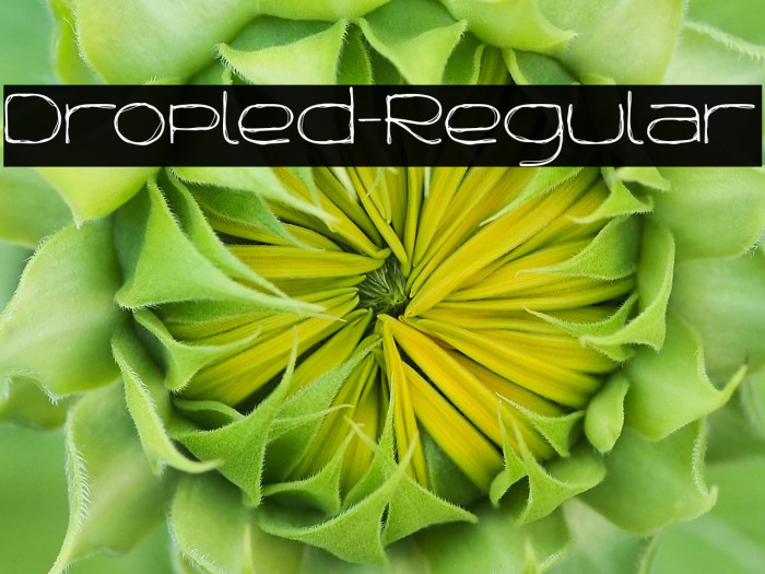 Dropled-Regular Example 1