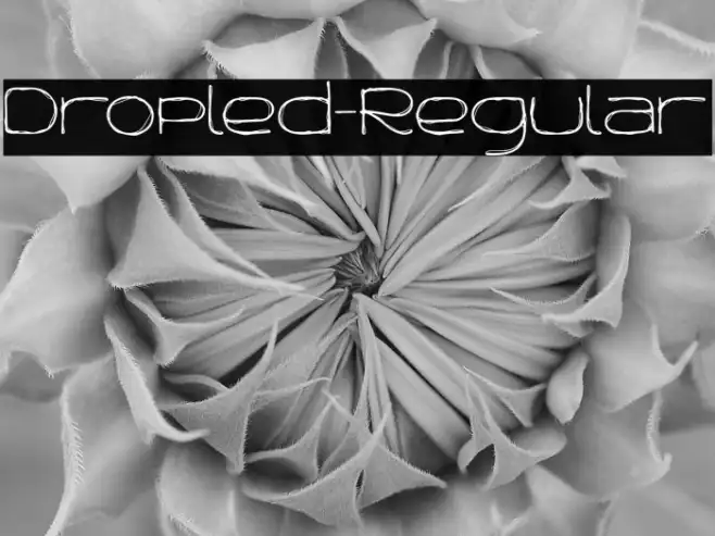 Dropled-Regular Example 1