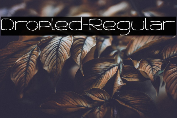 Dropled-Regular Example 2