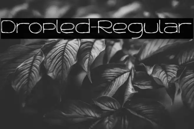 Dropled-Regular Example 2
