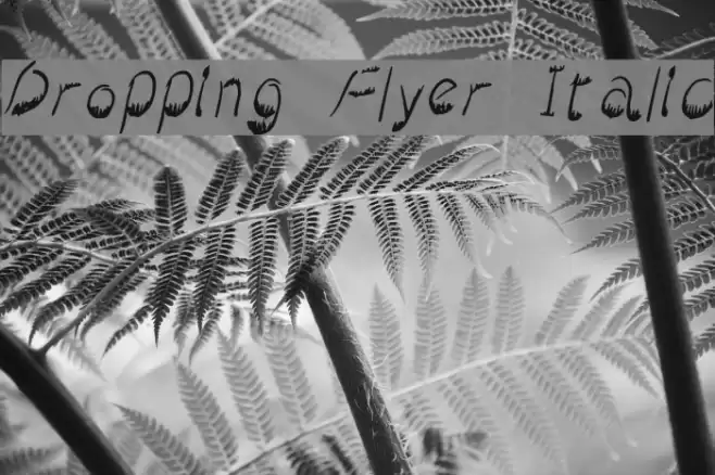 Dropping Flyer Italic Font examples