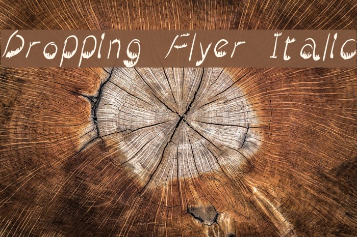 Dropping Flyer Italic Example 3