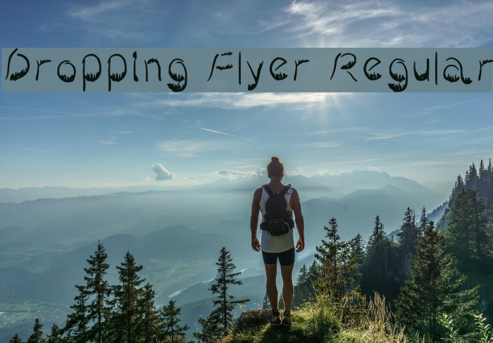 Dropping Flyer Regular Font examples